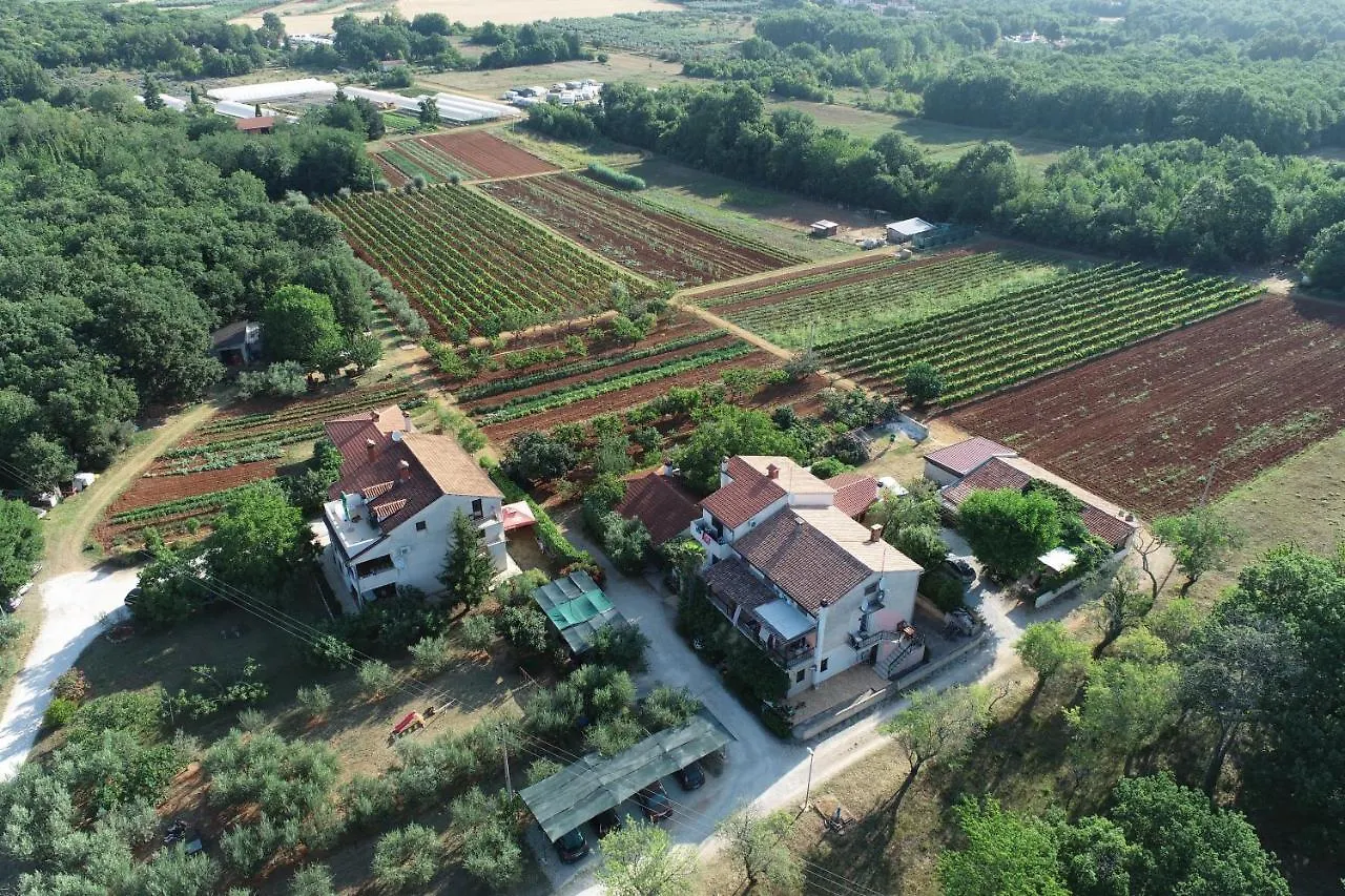Viva Molindrio Apartment Porec