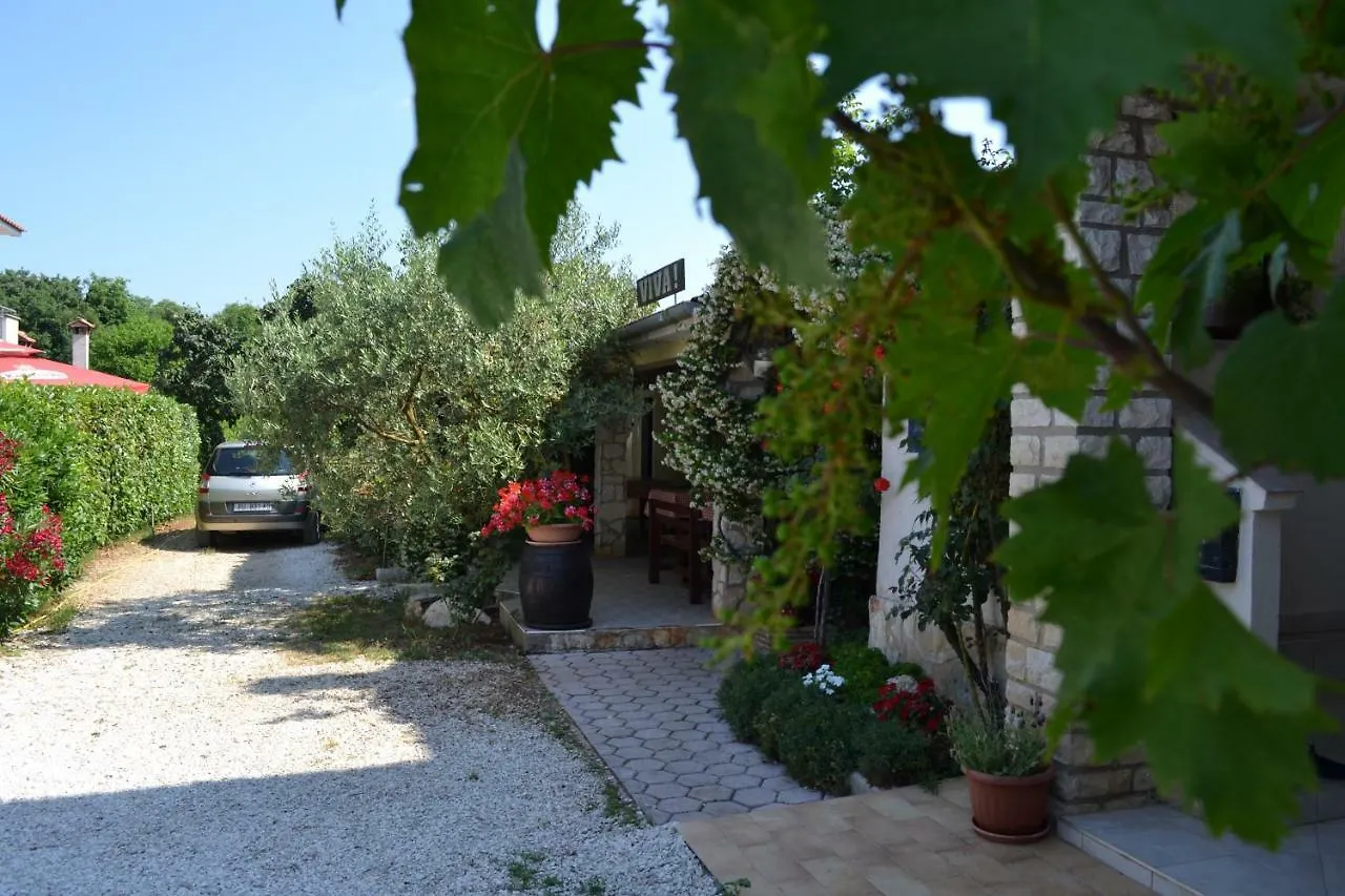 Viva Molindrio Apartment Porec Croatia