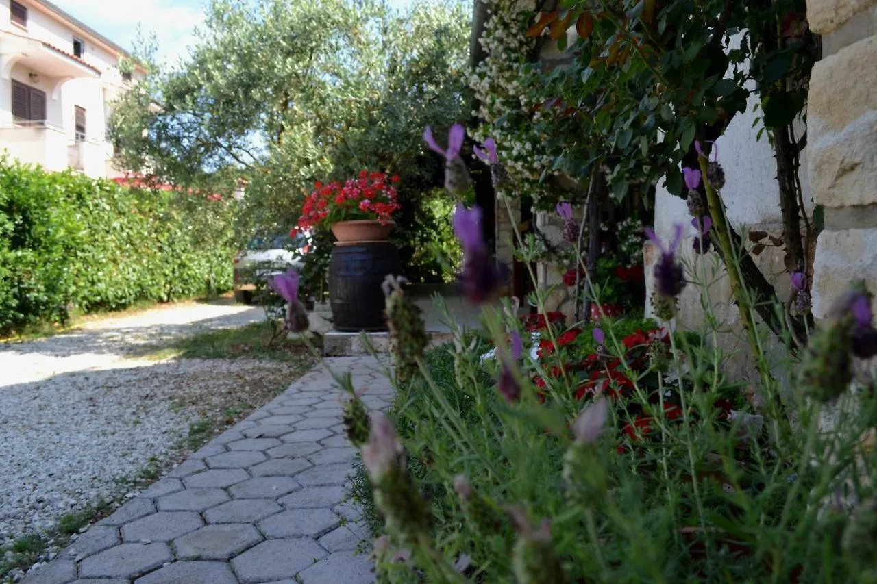 Viva Molindrio Apartment Porec Croatia