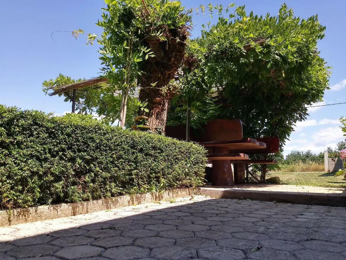 Viva Molindrio Apartment Porec Croatia